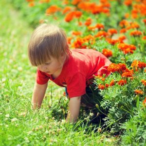 little boy crawls near flowers on lawn