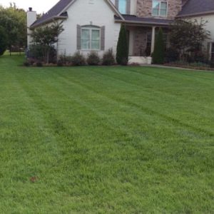 Professional lawn care in Middle Tennessee