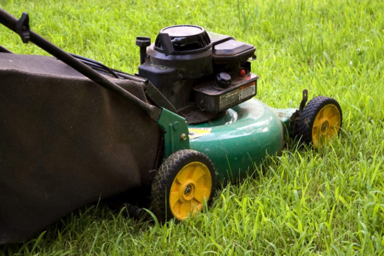 Simple Guide for Mowing Bermuda And Fescue Grass YearRound Lawn Care