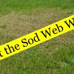 Sob webworms lawn damae