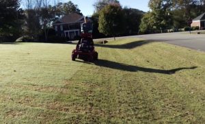 Best Time To Aerate