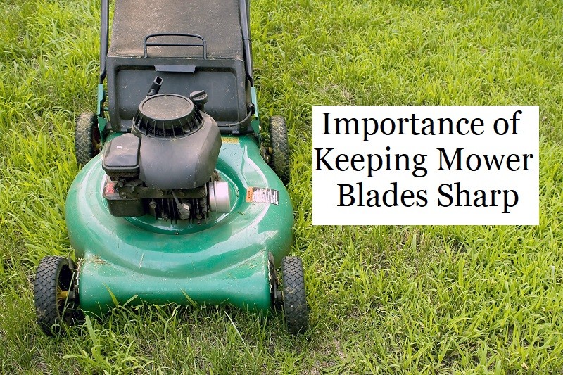 Why Should You Keep the Blades Sharp