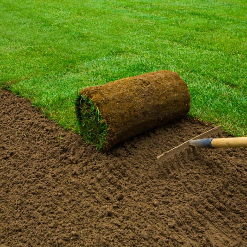 Preparing the Soil for a New Lawn Installation SecureLawn