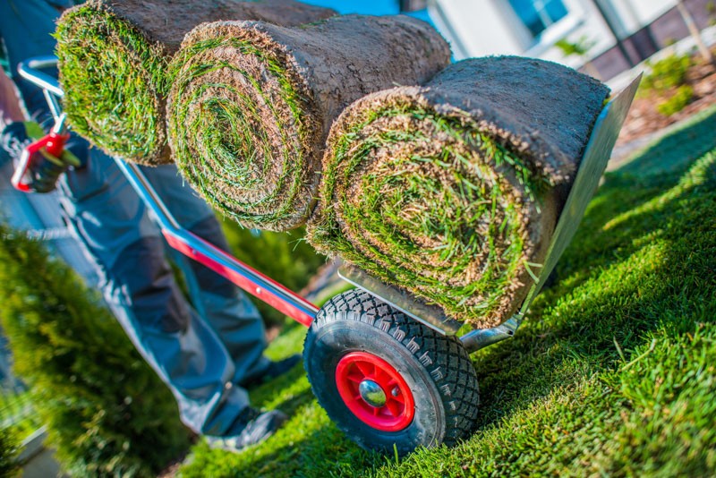 How to Install a New Lawn