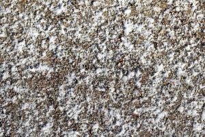 Reducing Salt Damage to Your Lawn