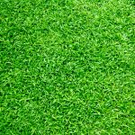 Achieving green grass is easier than you think.