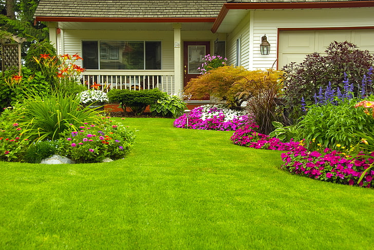 Vibrant lawn with lush greenery and colorful flowers, the result of expert lawn fertilization