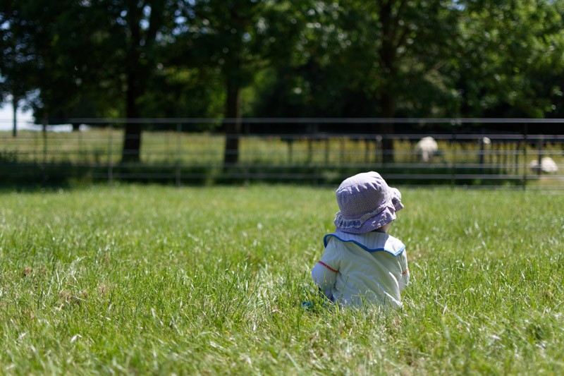 A young child plays safely on a lush green lawn treated with professional mosquito control, highlighting a pest-free and family-friendly environment.